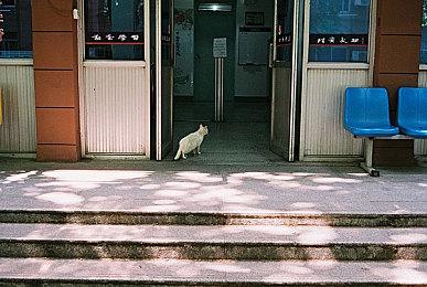 《饥荒：联机版》下周上线“保持不沉没”更新 添加新技能树